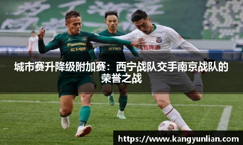 城市赛升降级附加赛：西宁战队交手南京战队的荣誉之战